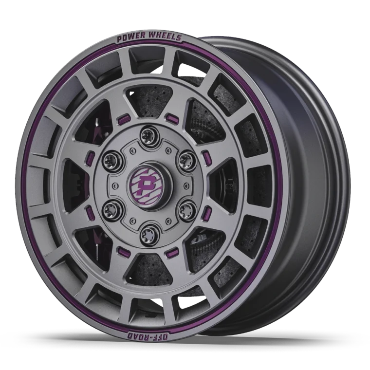 PW B09 Rims