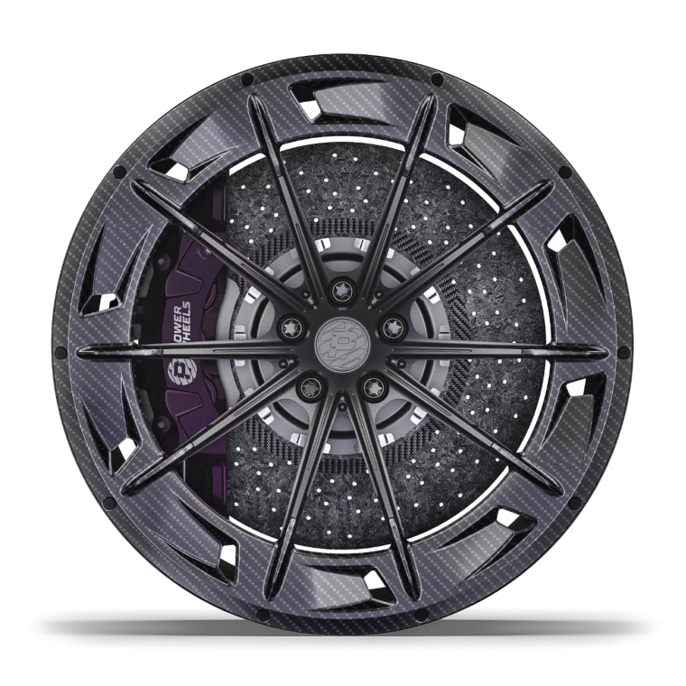 PW CARBON02 Rims