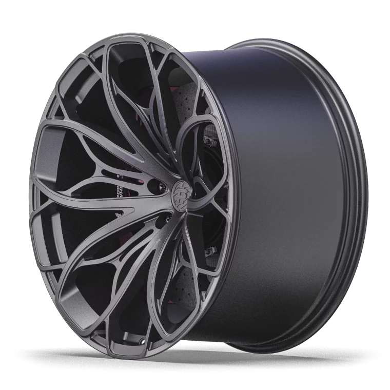 PW С01 Rims