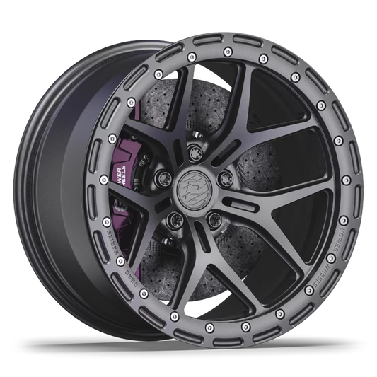 PW D01 Rims