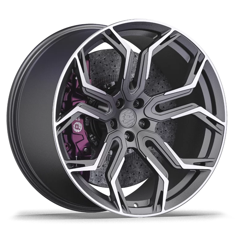 PW DC01 Rims