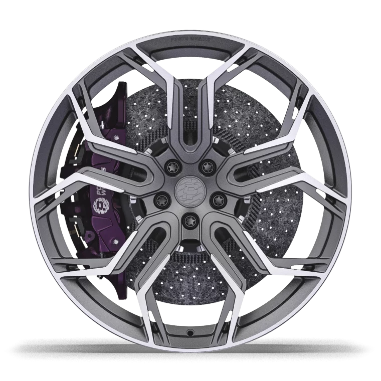 PW DC01 Rims