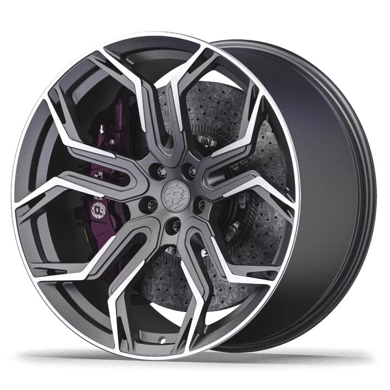 PW DC01 Rims