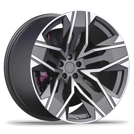PW DC05 Rims