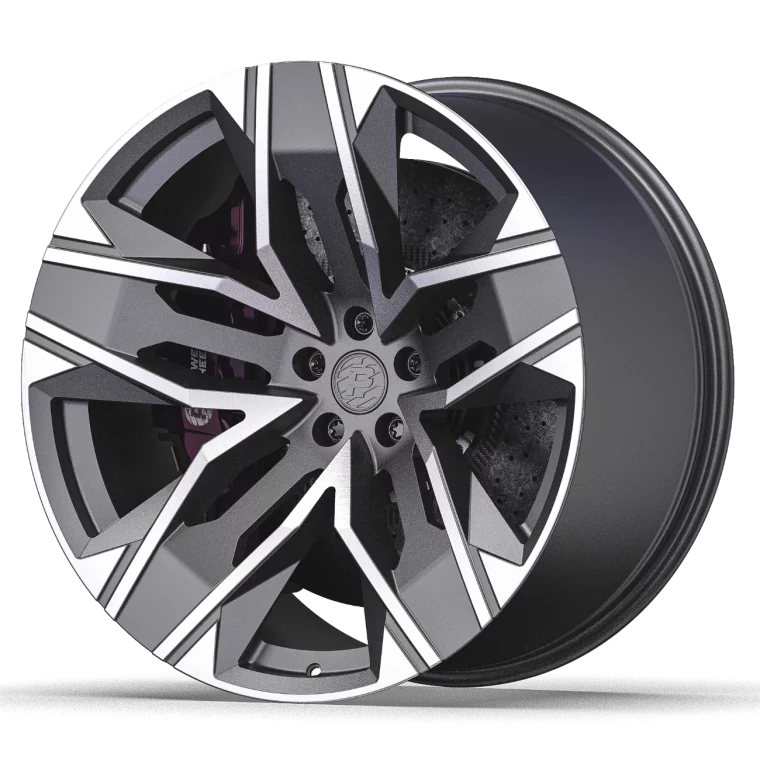 PW DC05 Rims