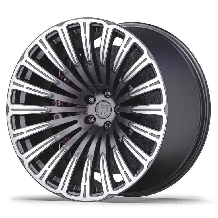 PW DC07 Rims