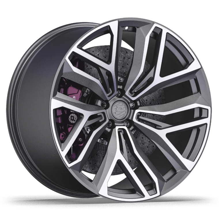 PW DC08 Rims