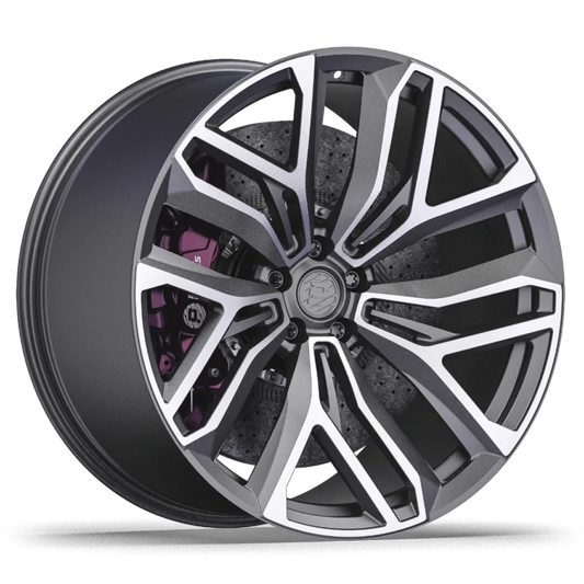 PW DC08 Rims