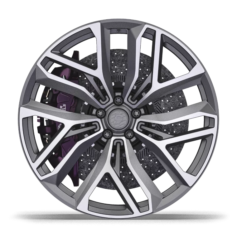 PW DC08 Rims