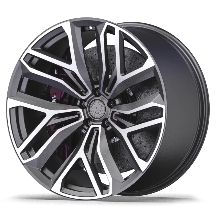 PW DC08 Rims