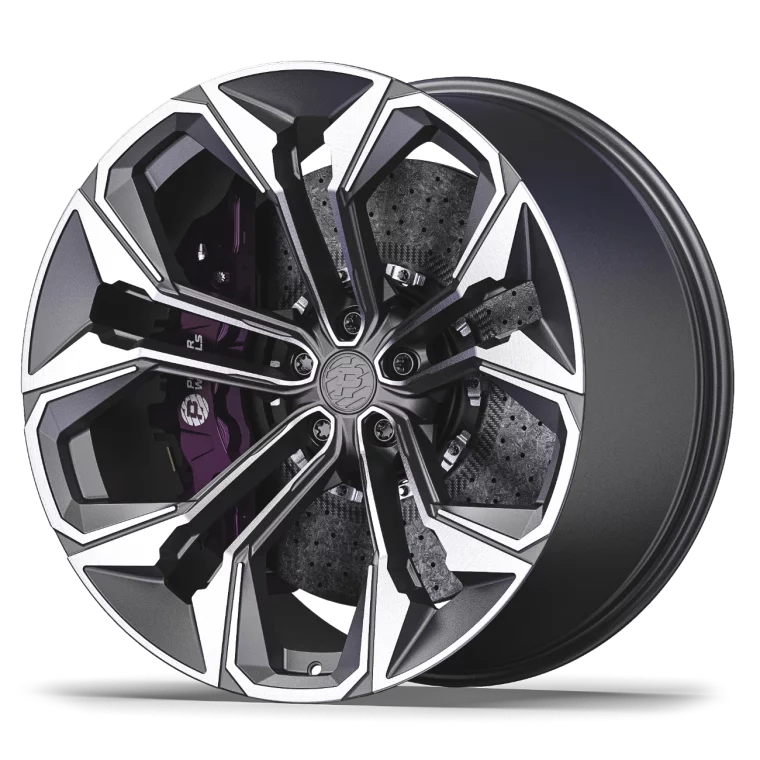 PW DC019 Rims