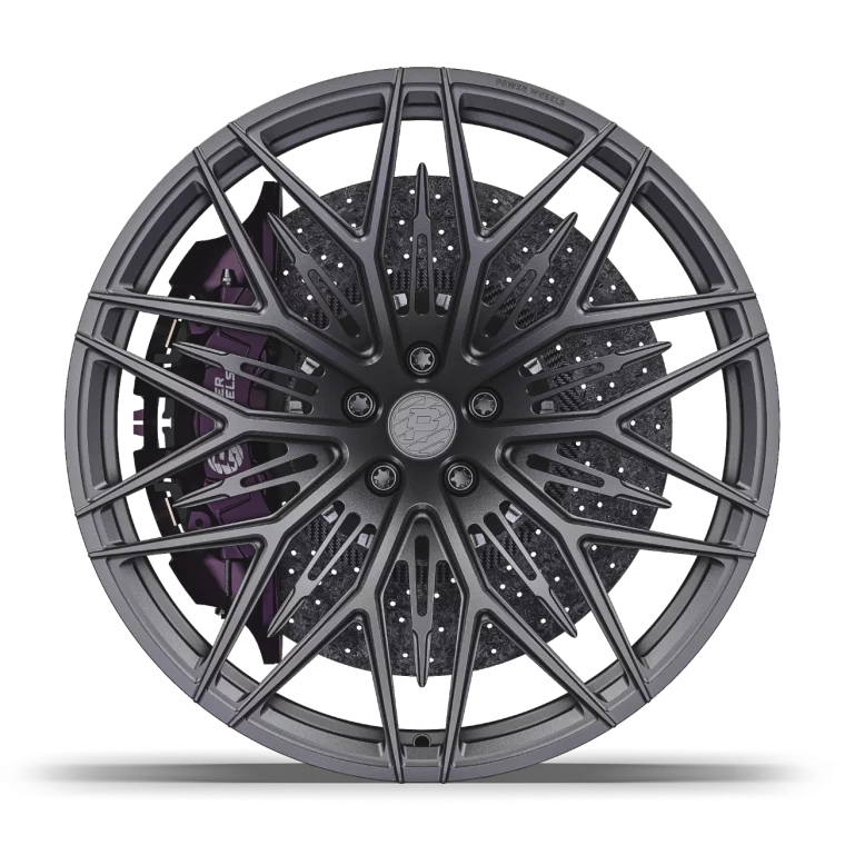 PW FL01 Rims