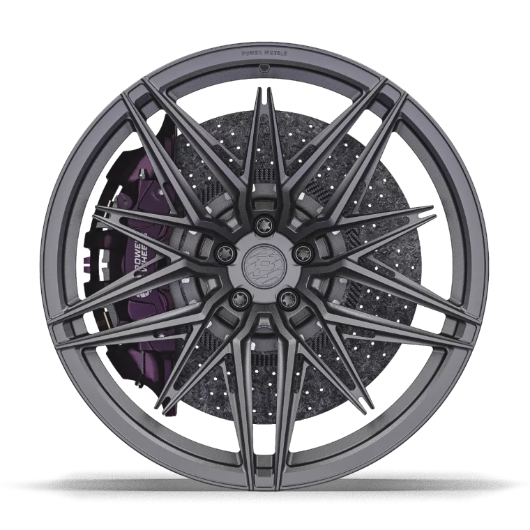 PW FL06 Rims