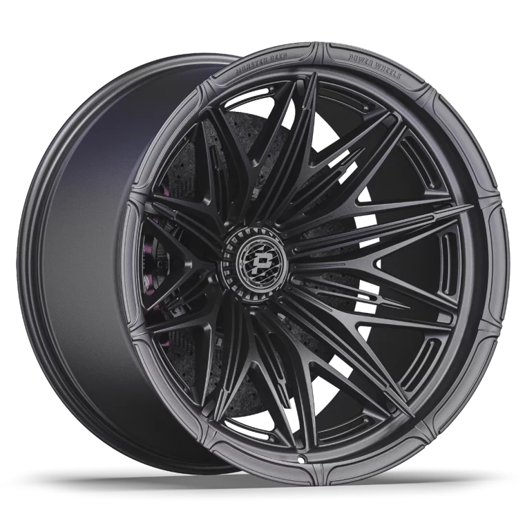 PW FL09 Rims