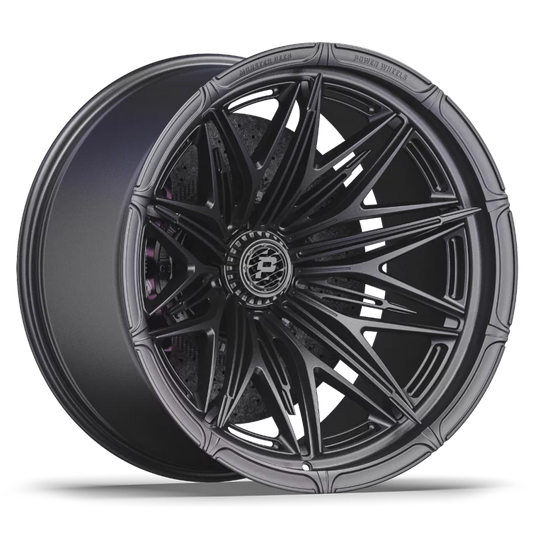 PW FL09 Rims