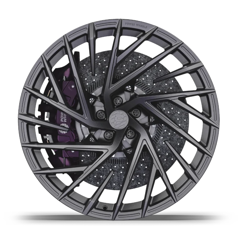 PW FL10 Rims