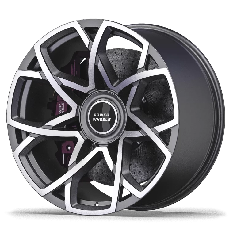 PW L05 Rims