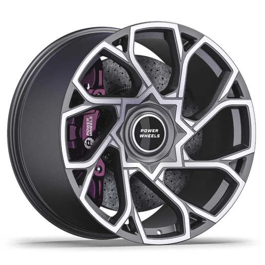 PW L09 Rims