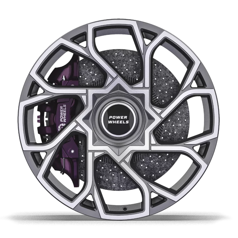 PW L09 Rims