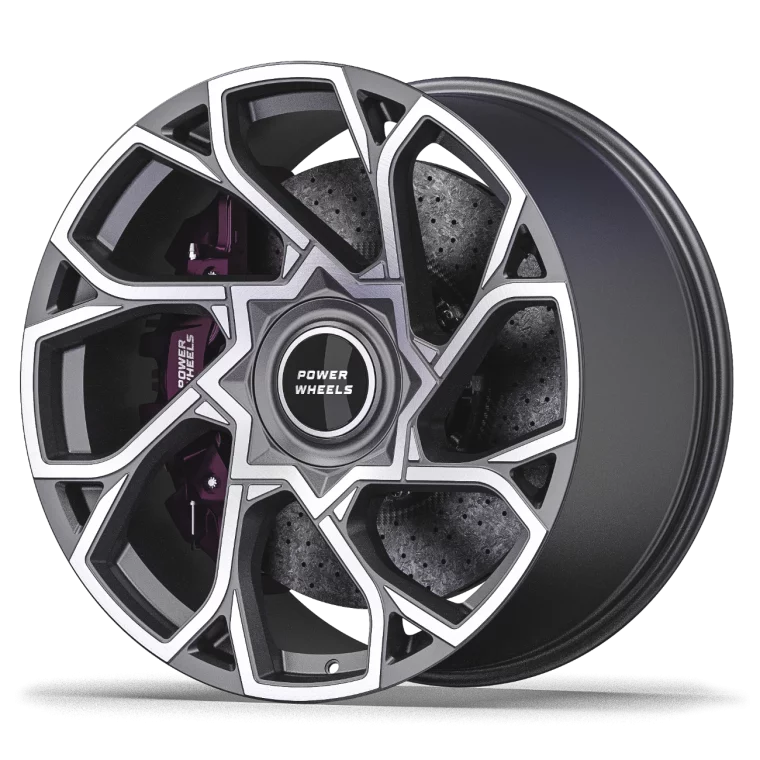 PW L09 Rims