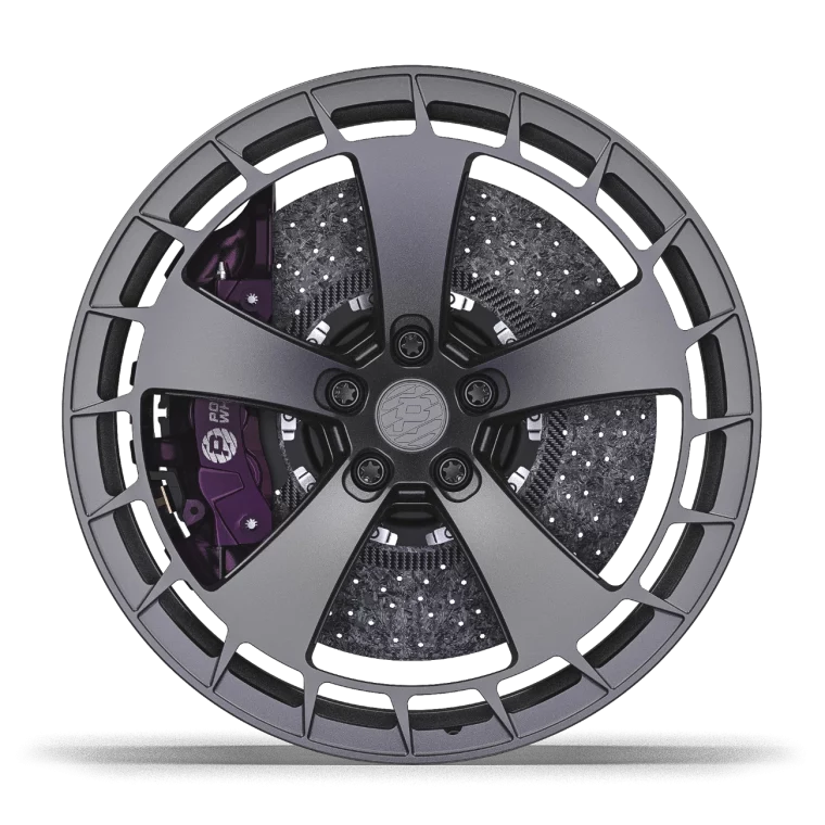 PW MS010 Rims