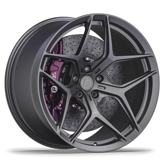 PW MS01V1 Rims