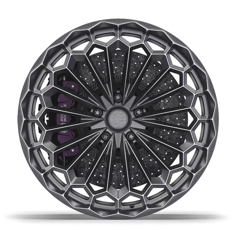 PW T06 Rims