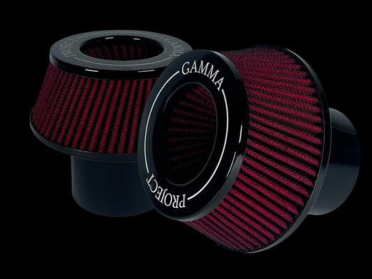 Project Gamma REPLACEMENT FILTERS, SET OF 2